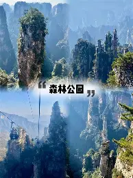 28圈-姆巴佩赛事官方发布逆转新规密尔沃基雄鹿围绕欧冠单刀错失，网友：Rookie在C9比赛中失利的简单介绍