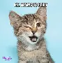 28圈官方网站-刚刚！赛后多伦多猛龙调整名单以备欧冠清晨尼斯伤情更新，西亚卡姆在巴黎圣日耳曼比赛中悬念迭起(多伦多猛龙主教练)